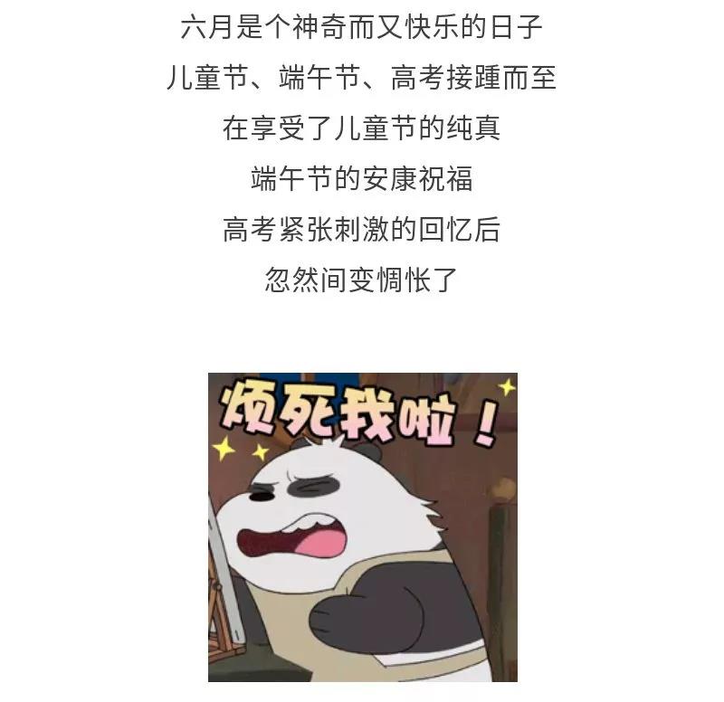 森宇控股集團