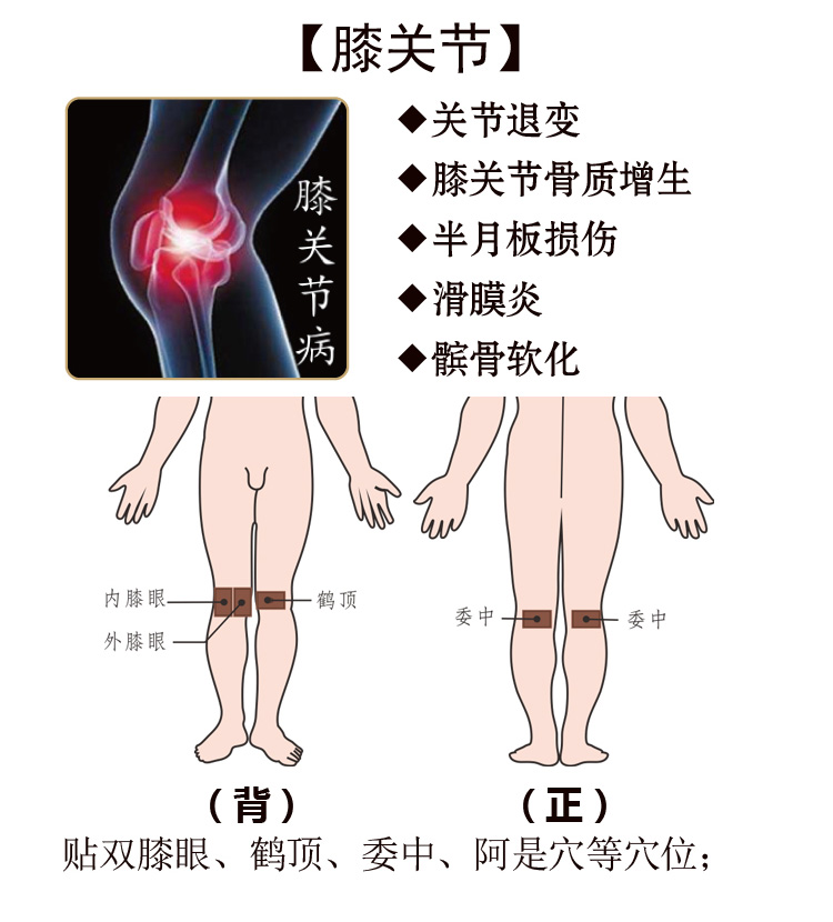 森宇控股集團