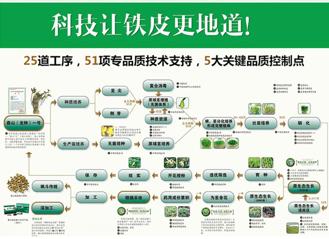 森宇控股集團